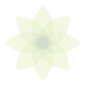 Moment - Screen Time Tracker